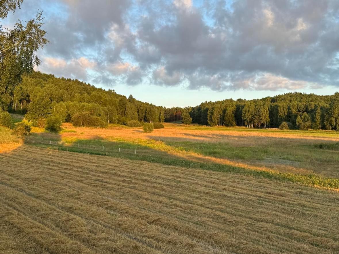 Sielski Zaulek U Dorotki -basen,jacuzzi,sauna